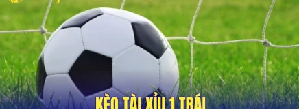 Kèo Tài Xỉu 1 Trái – Bật Mí 5 Lỗi Khiến Nhận Định Dễ Sai